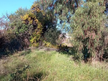 Venta / Terreno / Quilpué