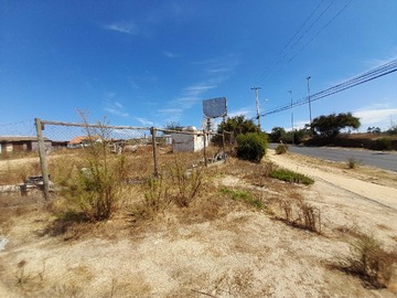Imagen 22