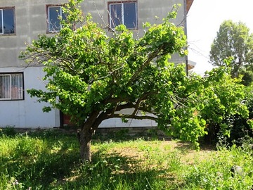 Venta / Terreno / Quilpué