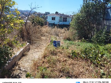 Venta / Terreno / Quilpué