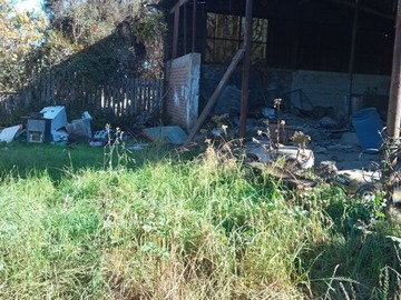 Imagen 11