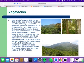 Imagen 11