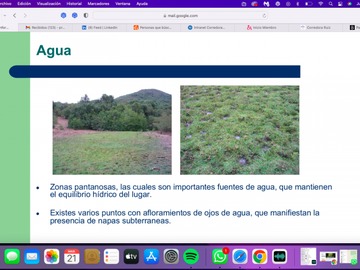 Imagen 9