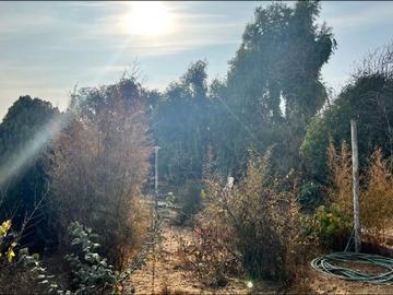 Venta / Terreno / Quilpué