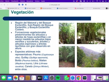 Imagen 10