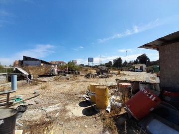 Imagen 7
