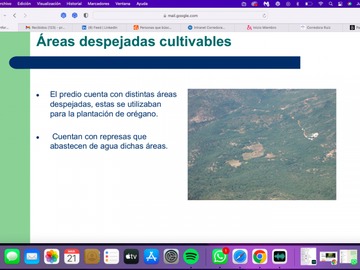 Imagen 13