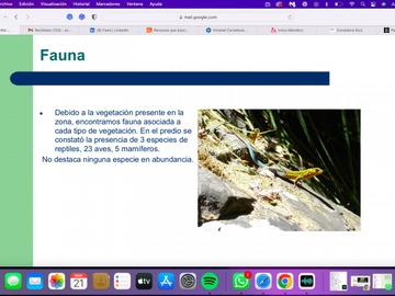 Imagen 12