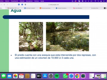Imagen 8