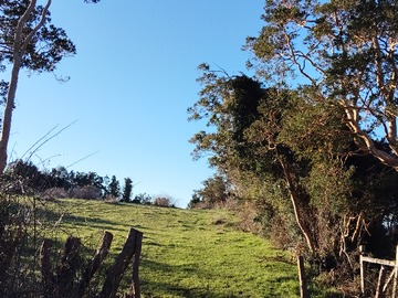 Imagen 6