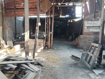 Imagen 5