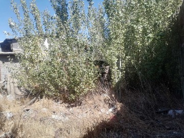 Imagen 9