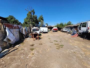 Imagen 5