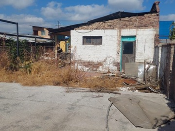 Imagen 14
