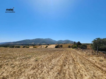 Venta / Terreno / Quintero
