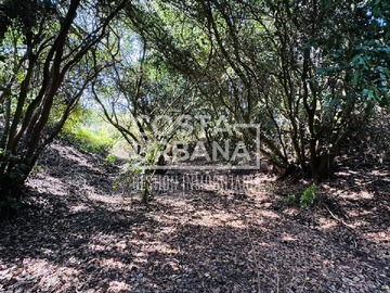 Imagen 9