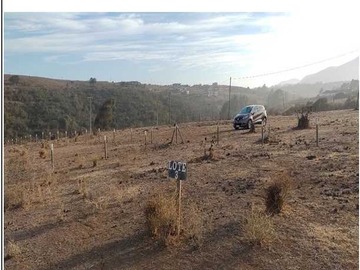 Venta / Terreno / Quintero