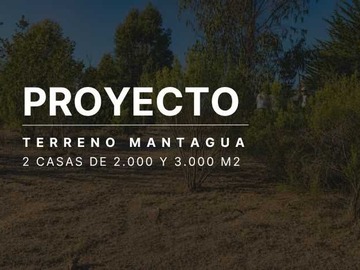 Imagen 16