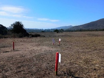 Imagen 5