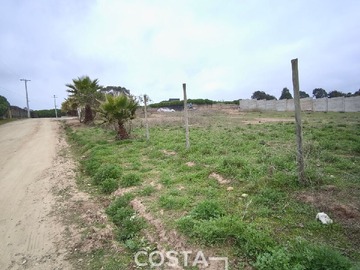 Imagen 9