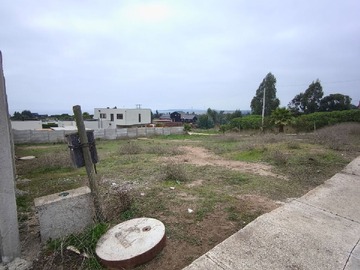 Imagen 7