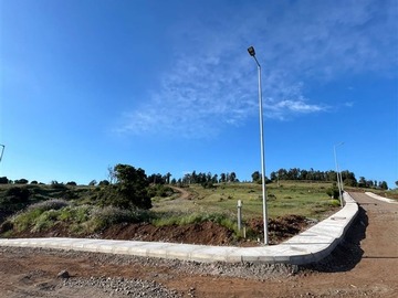 Imagen 9