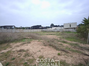 Imagen 8