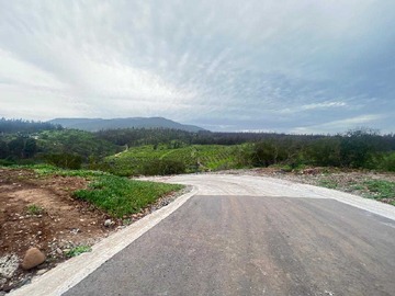 Imagen 12