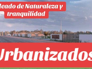 Imagen 5