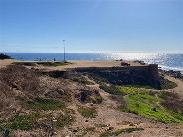 Imagen 4