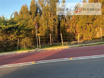 Imagen 18
