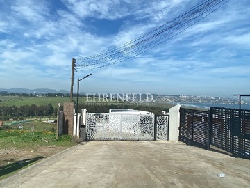 Imagen 7