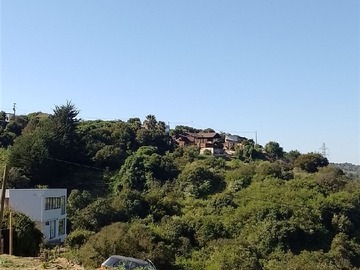 Imagen 5