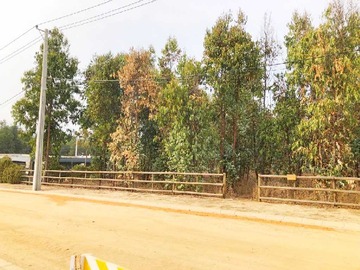 Venta / Terreno / Quintero