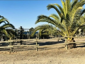 Imagen 21