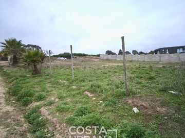 Imagen 6