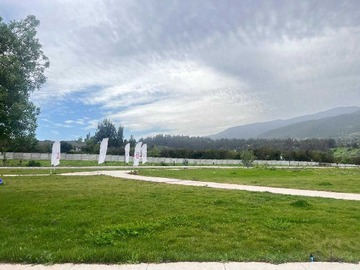 Imagen 6