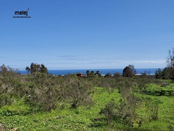 Venta / Terreno / Quintero