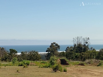 Venta / Terreno / Quintero