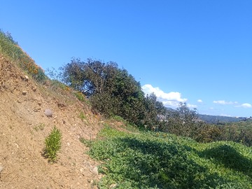 Venta / Terreno / Quintero