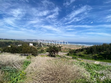 Imagen 11
