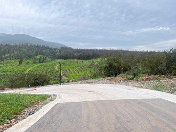 Imagen 9