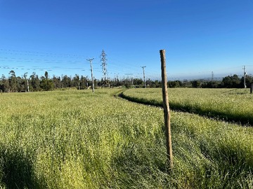 Venta / Terreno / Quintero