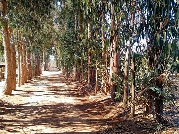 Venta / Terreno / Quintero