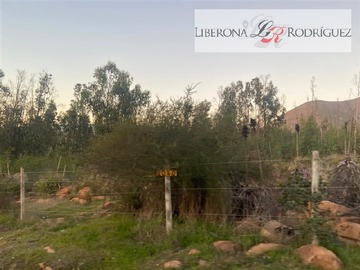Imagen 8