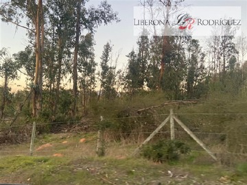 Imagen 9
