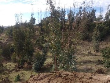 Imagen 12