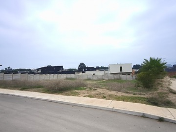 Imagen 12