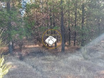 Venta / Terreno / Quirihue
