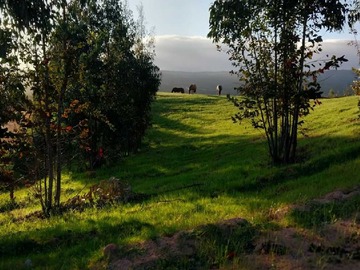 Venta / Terreno / Rancagua